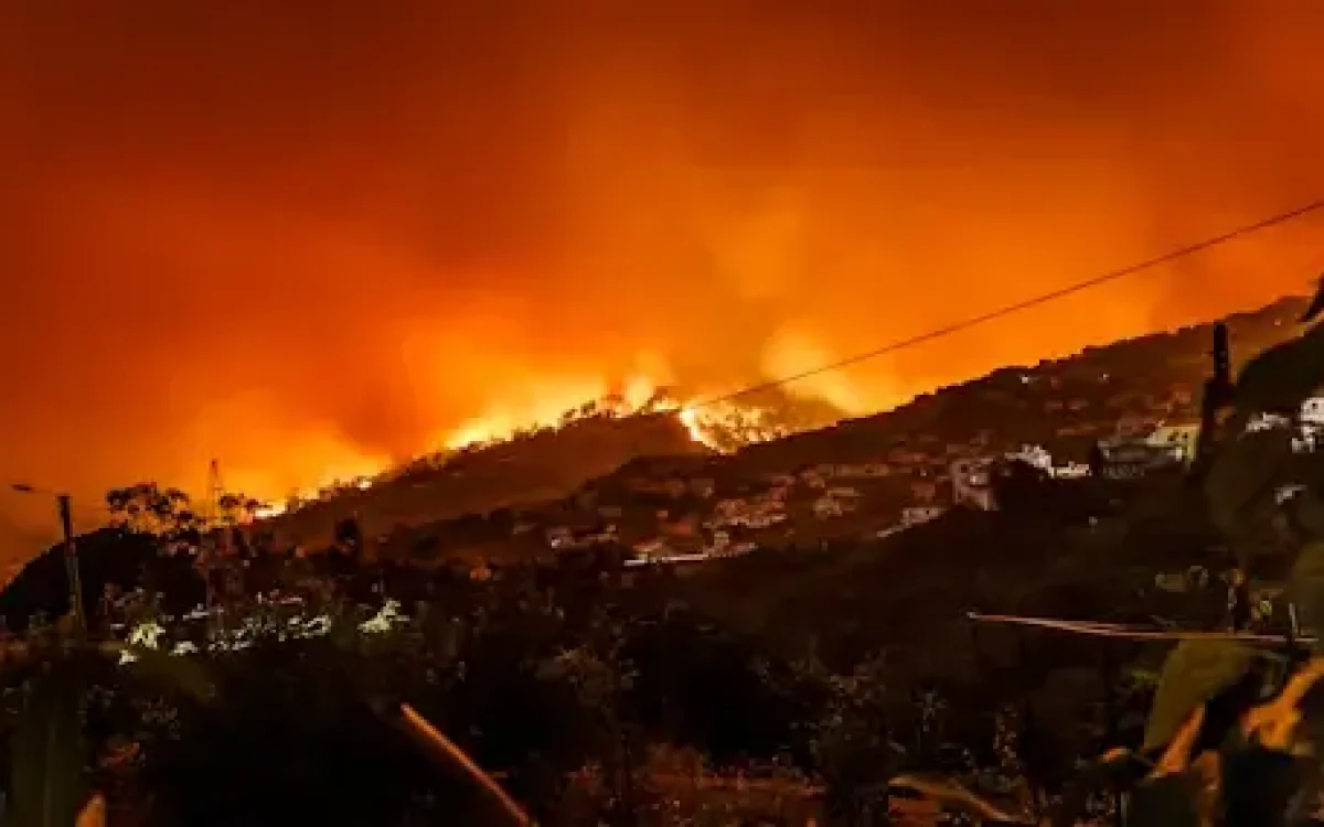 A Comprehensive Disaster Preparedness Guide1